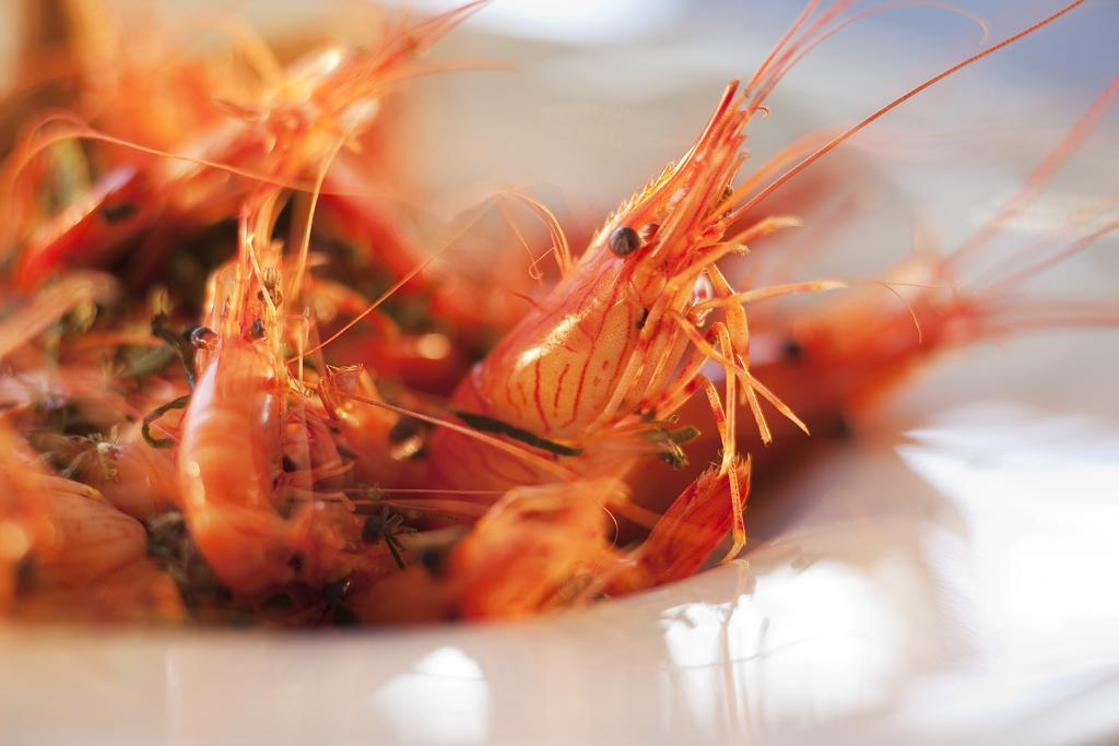 Grand Hotel De L'Ocean Le Croisic Ngoại thất bức ảnh
